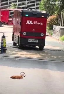 这车确实没长眼
