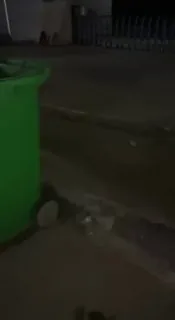 捡垃圾吃 命苦啊 ！🥹