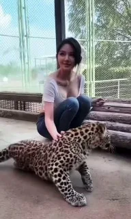 花豹：“锁喉，味太冲算了”。