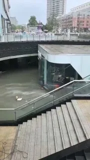 台风白海豚都吹到河北张家港了！张家港曼巴特购物中心被淹，小鹏汽车4S店“鹏友”里的车撞破玻璃门出逃