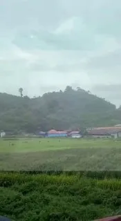 东南亚新闻